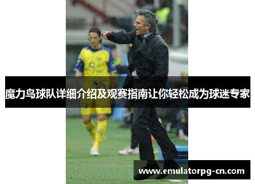 魔力鸟球队详细介绍及观赛指南让你轻松成为球迷专家